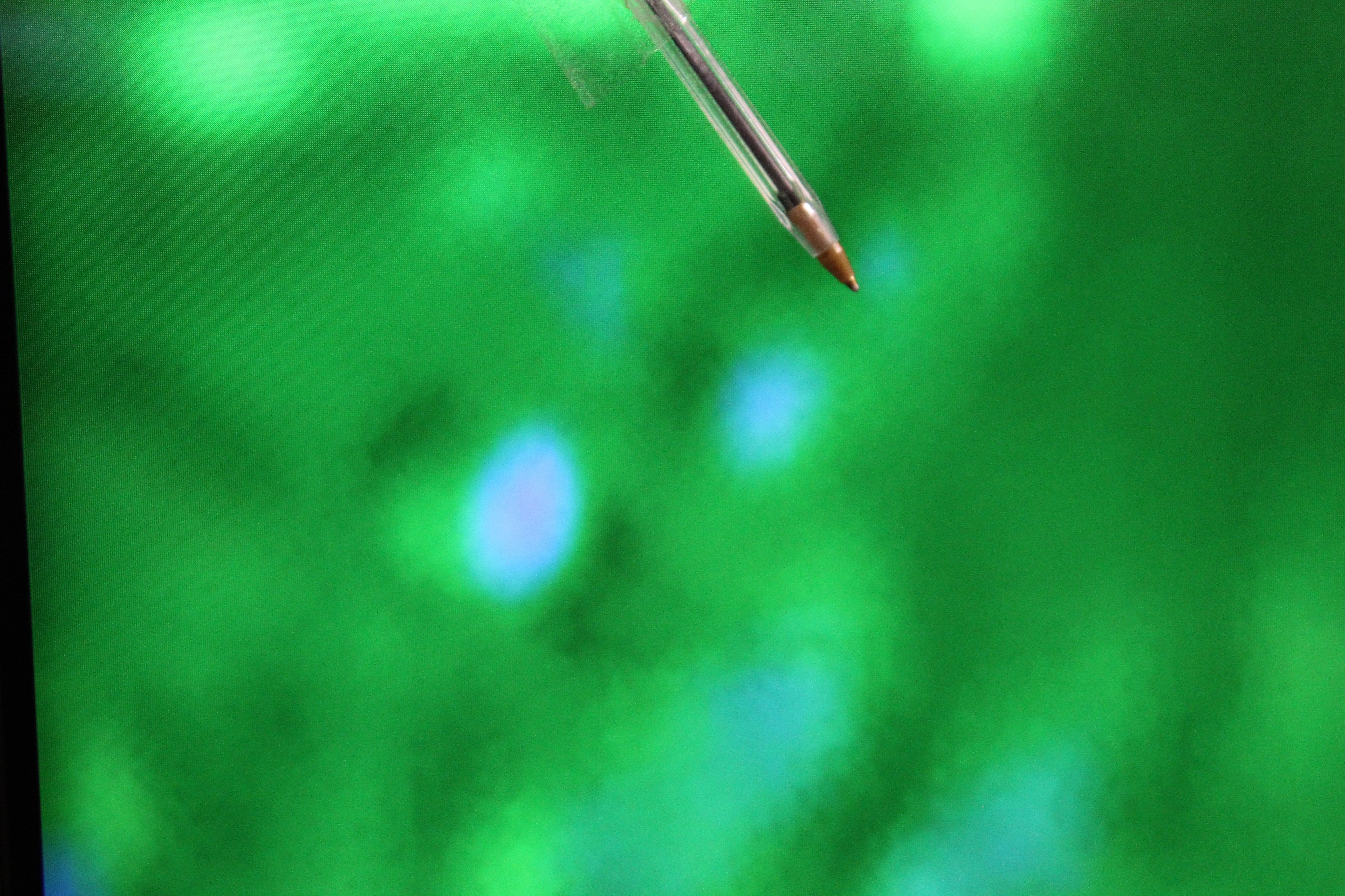 65" Samsung QE65Q800TATXXU Premium 8K HDR QLED TV