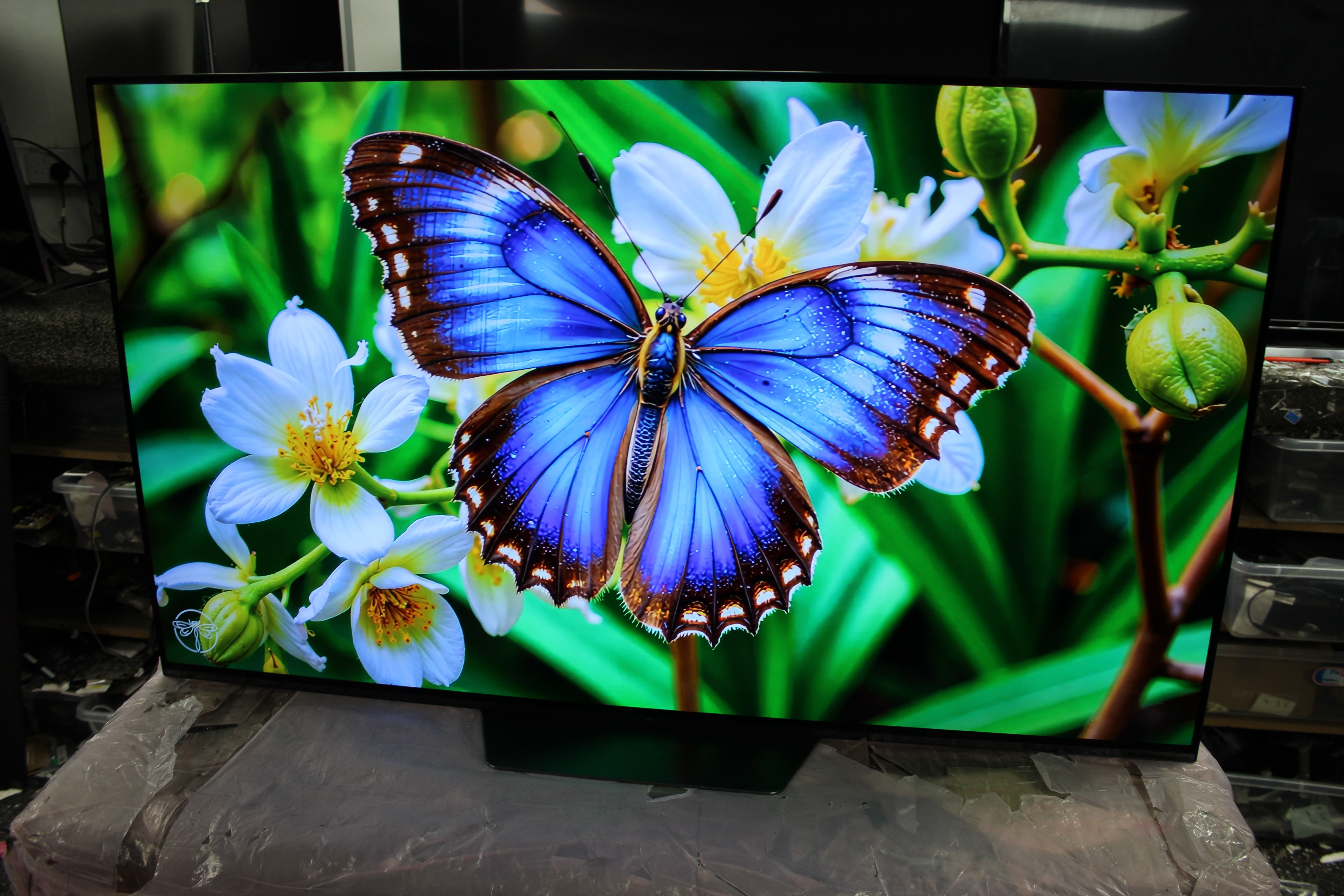 55" Sony KD55AG9BU Master Series 4K HDR Android Smart OLED TV - Electronic World TV