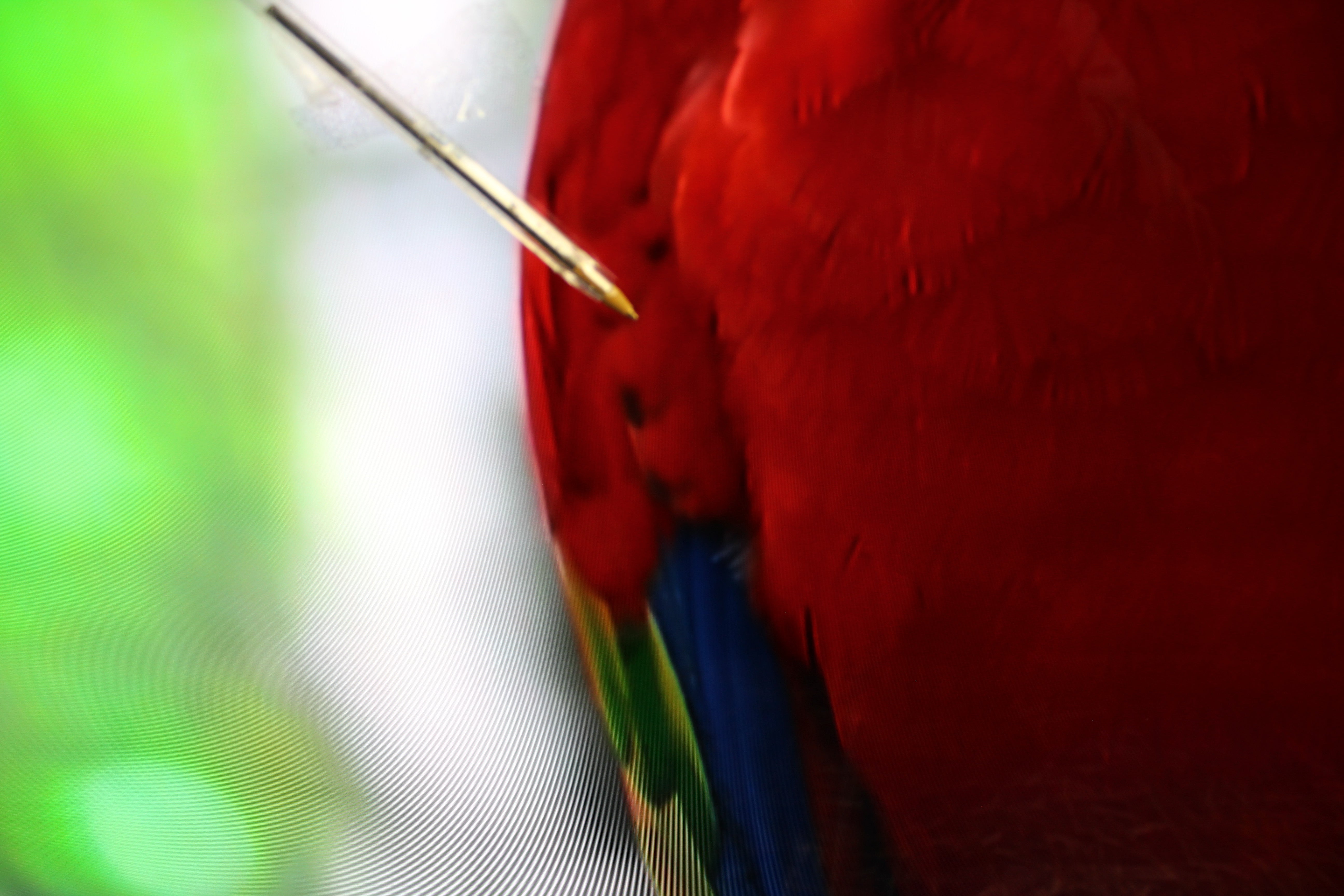 65" Sony Bravia K65XR80PU 4K HDR Google OLED TV