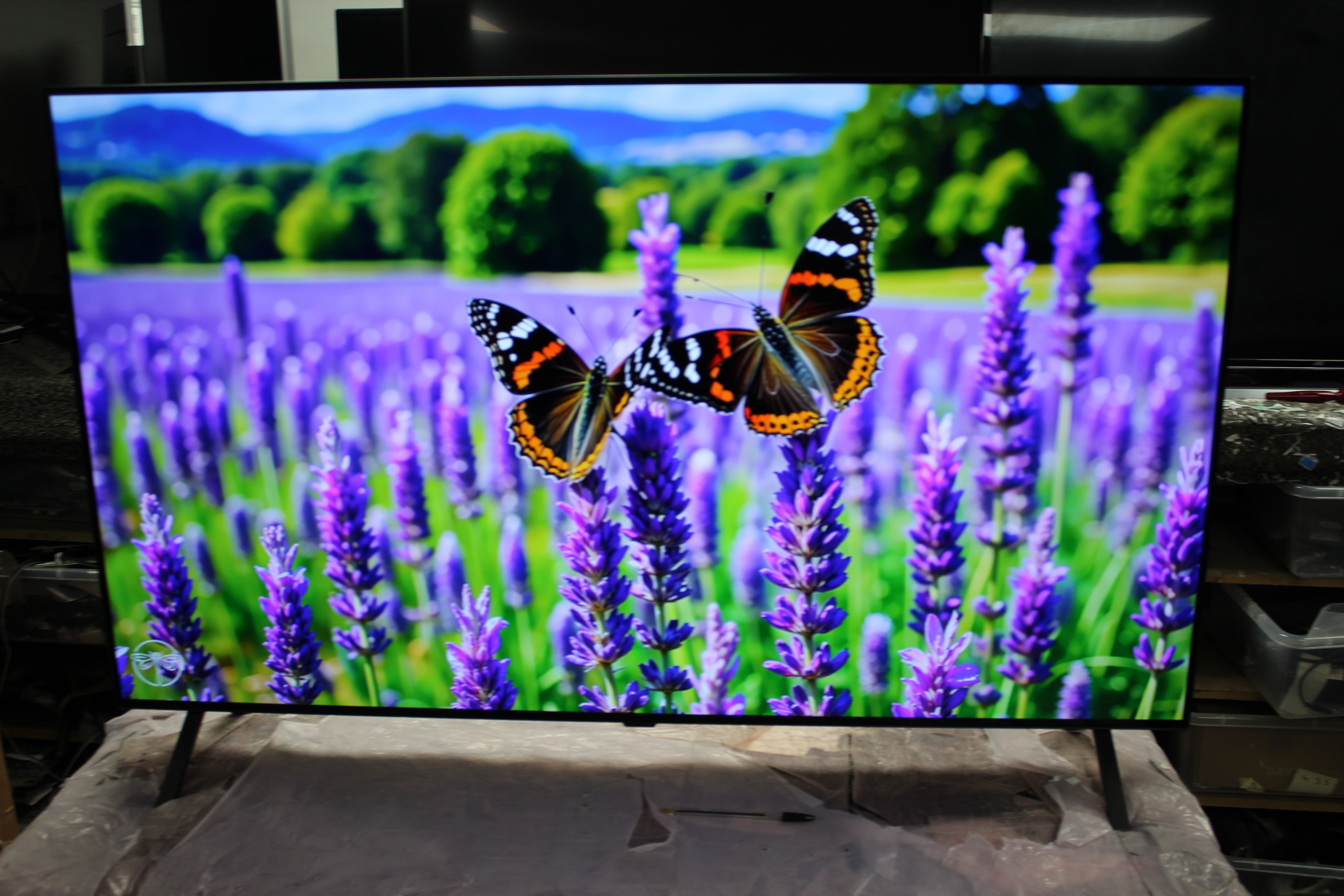 55" LG OLED55B46LA 4K HDR Smart OLED TV - Electronic World TV