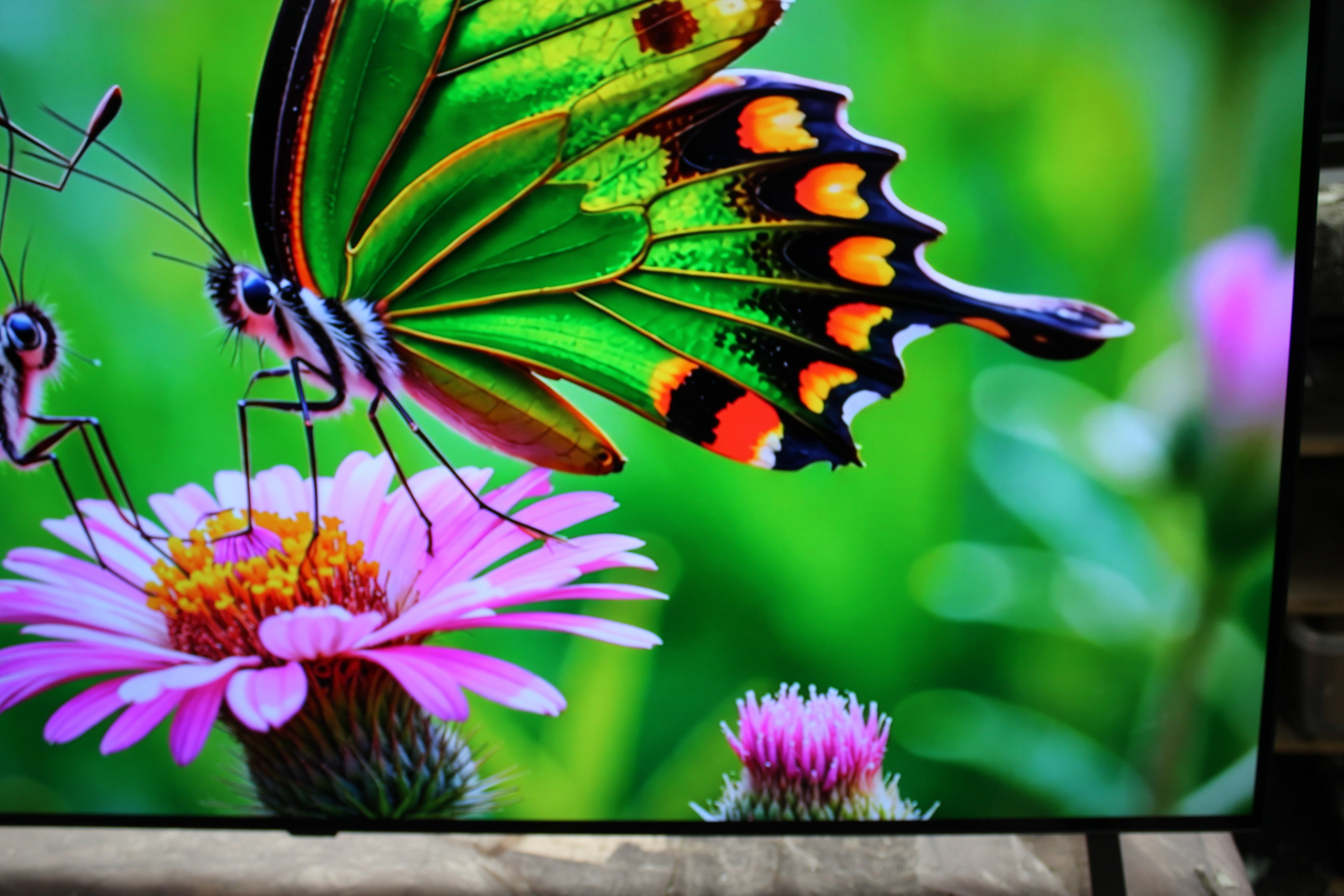 55" LG OLED55B46LA 4K HDR Smart OLED TV - Electronic World TV