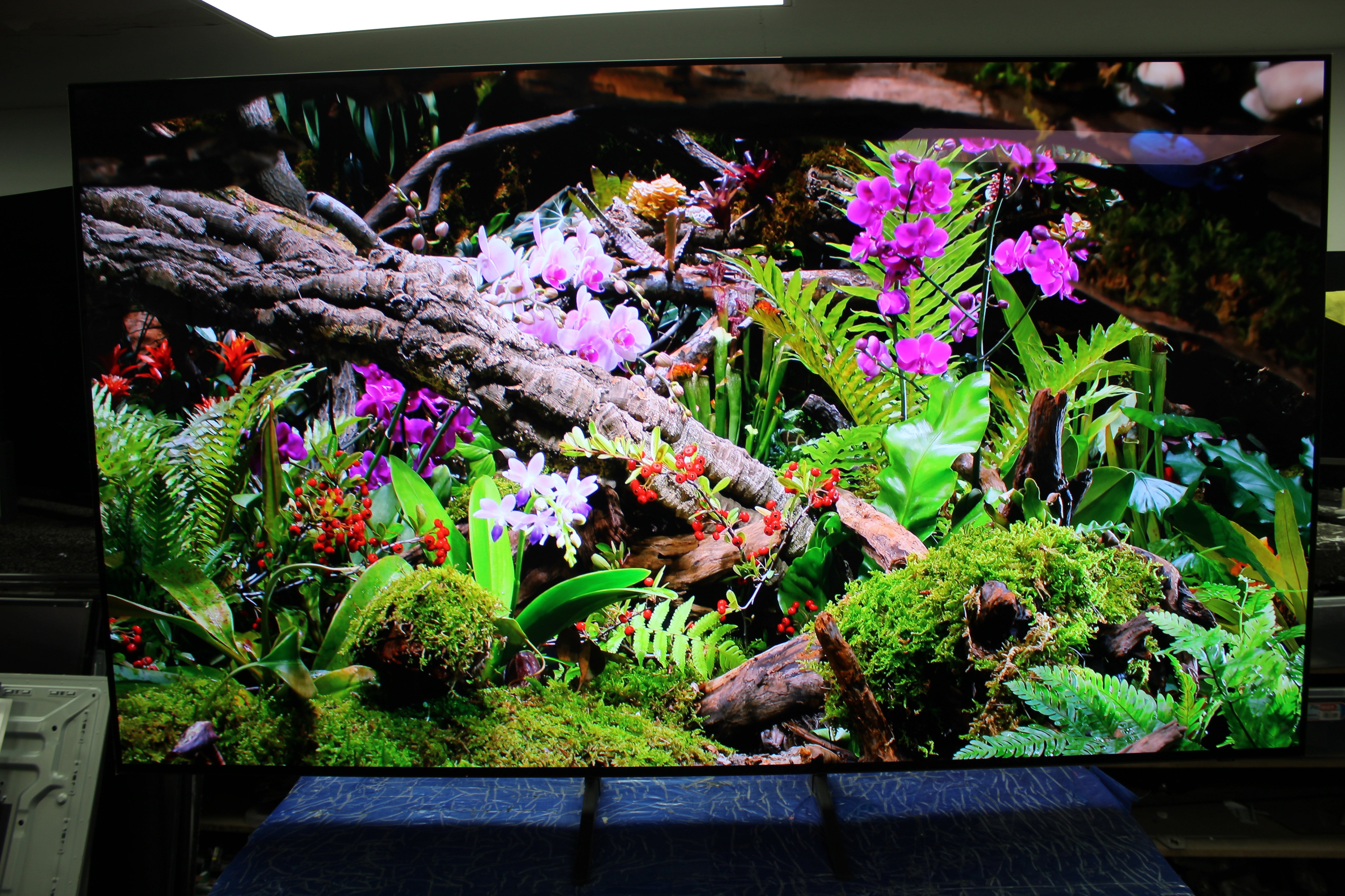77" Samsung QE77S90F Flagship 4K HDR OLED TV