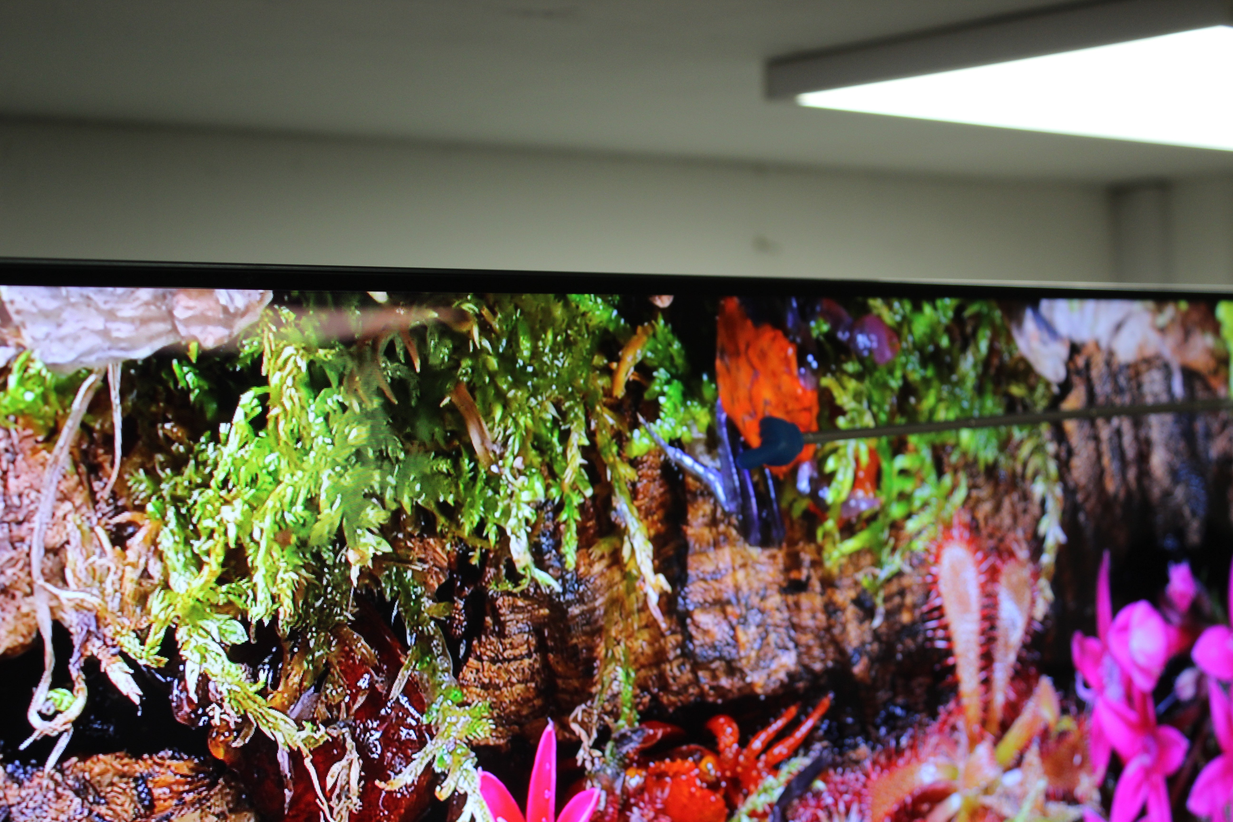 77" Samsung QE77S90F Flagship 4K HDR OLED TV