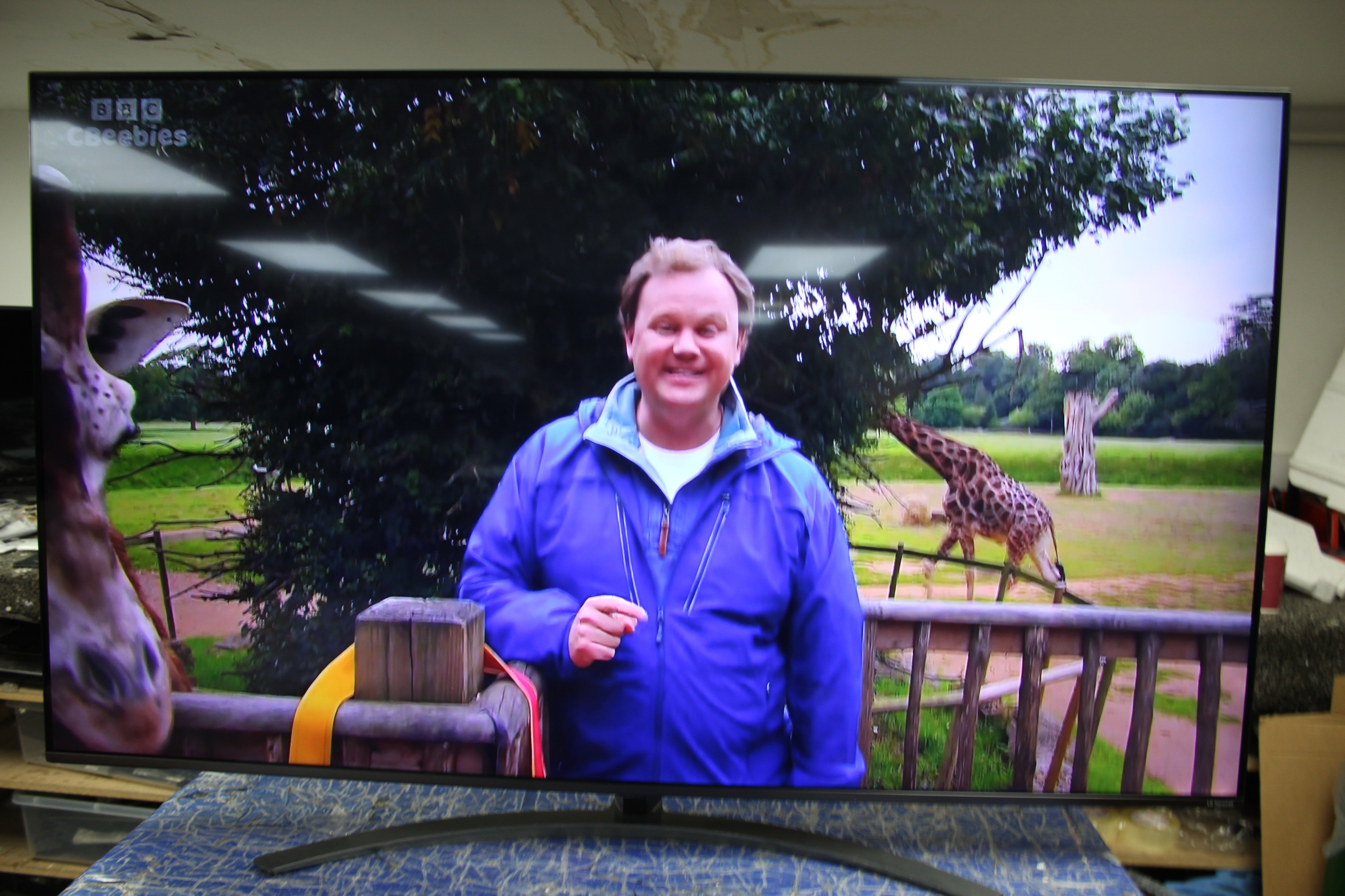 65" LG 65NANO816QA 4K HDR Nano Cell Smart LED TV