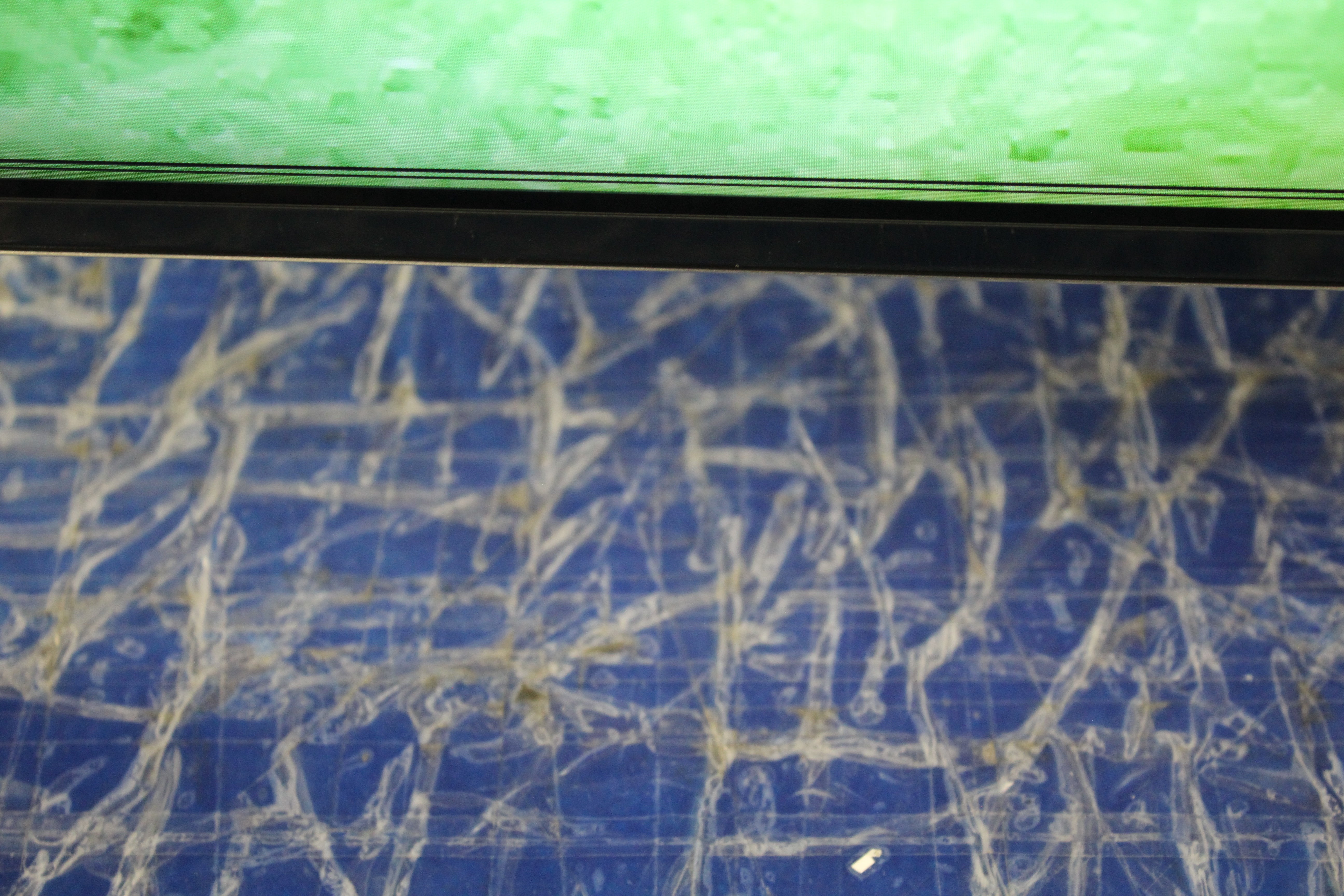 75" Samsung QE75QN800ATXXU Flagship 8K HDR Neo QLED TV - Electronic World TV