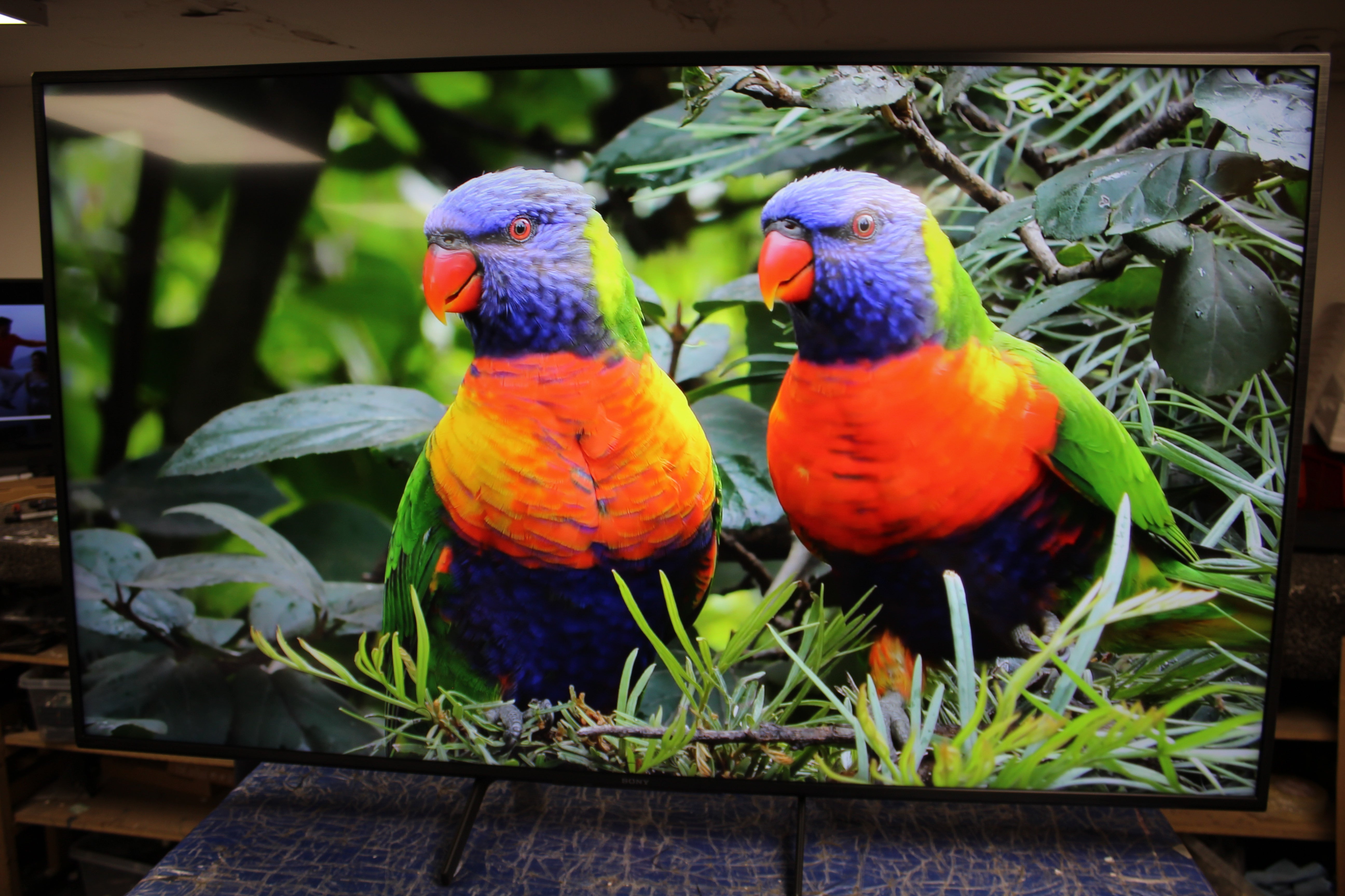 65" Sony Bravia KD65X80JU 4K HDR LED Google TV - Electronic World TV