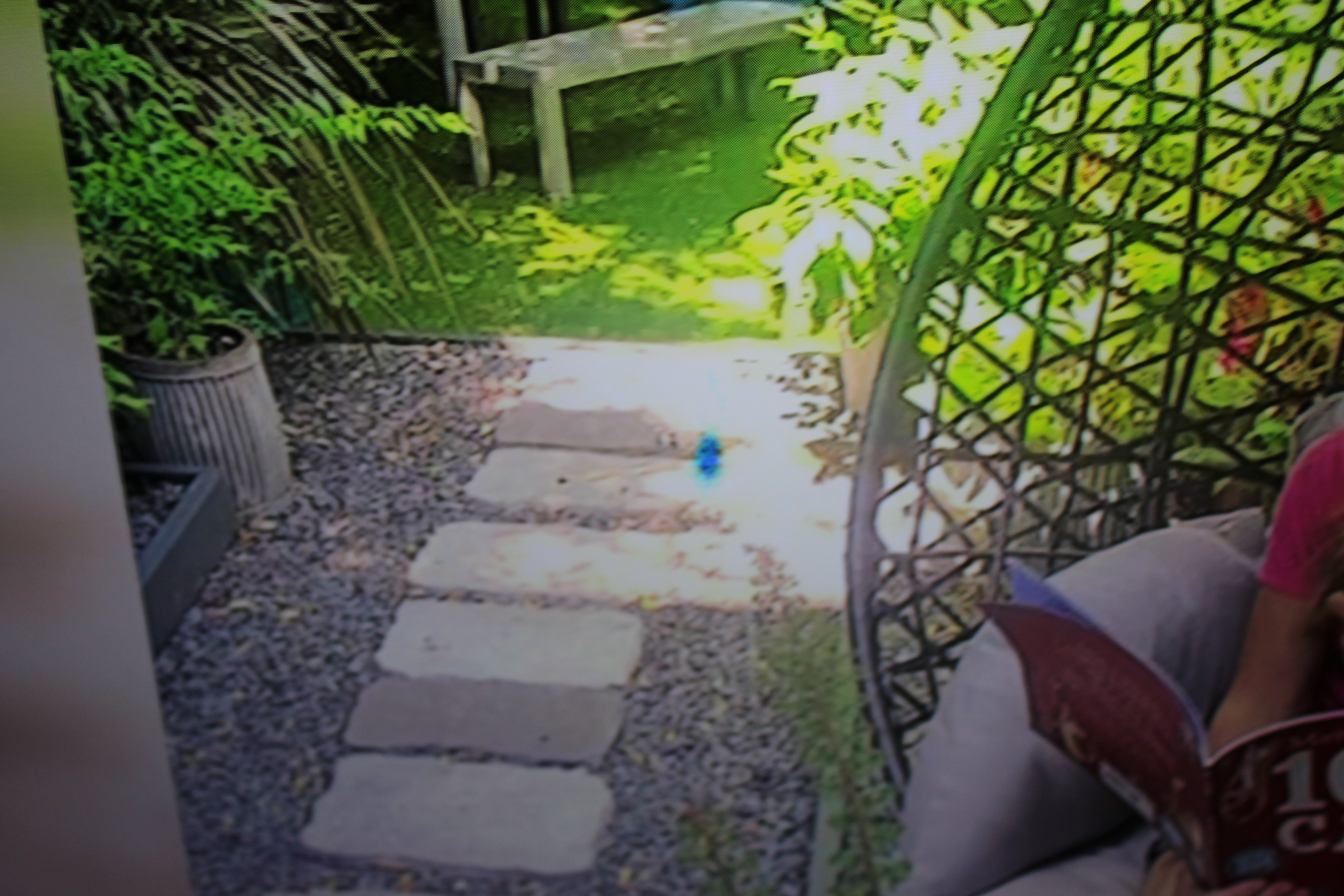 50" Samsung QE50Q60TAUXXU Crystal 4K Quantum HDR Smart QLED TV - Electronic World TV