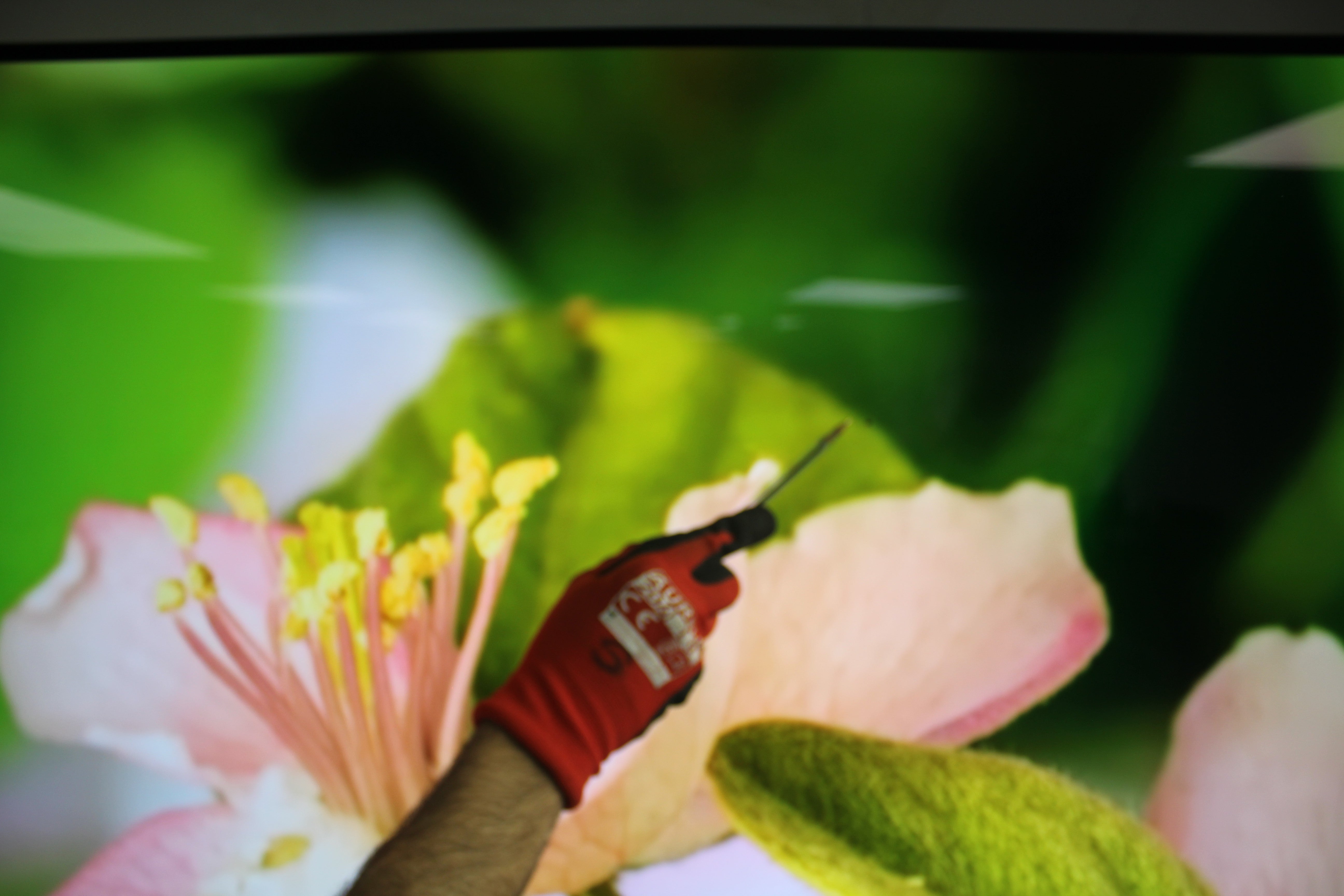 83" Sony Bravia XR83A90JU Flagship 4K HDR Google Smart OLED TV - Electronic World TV