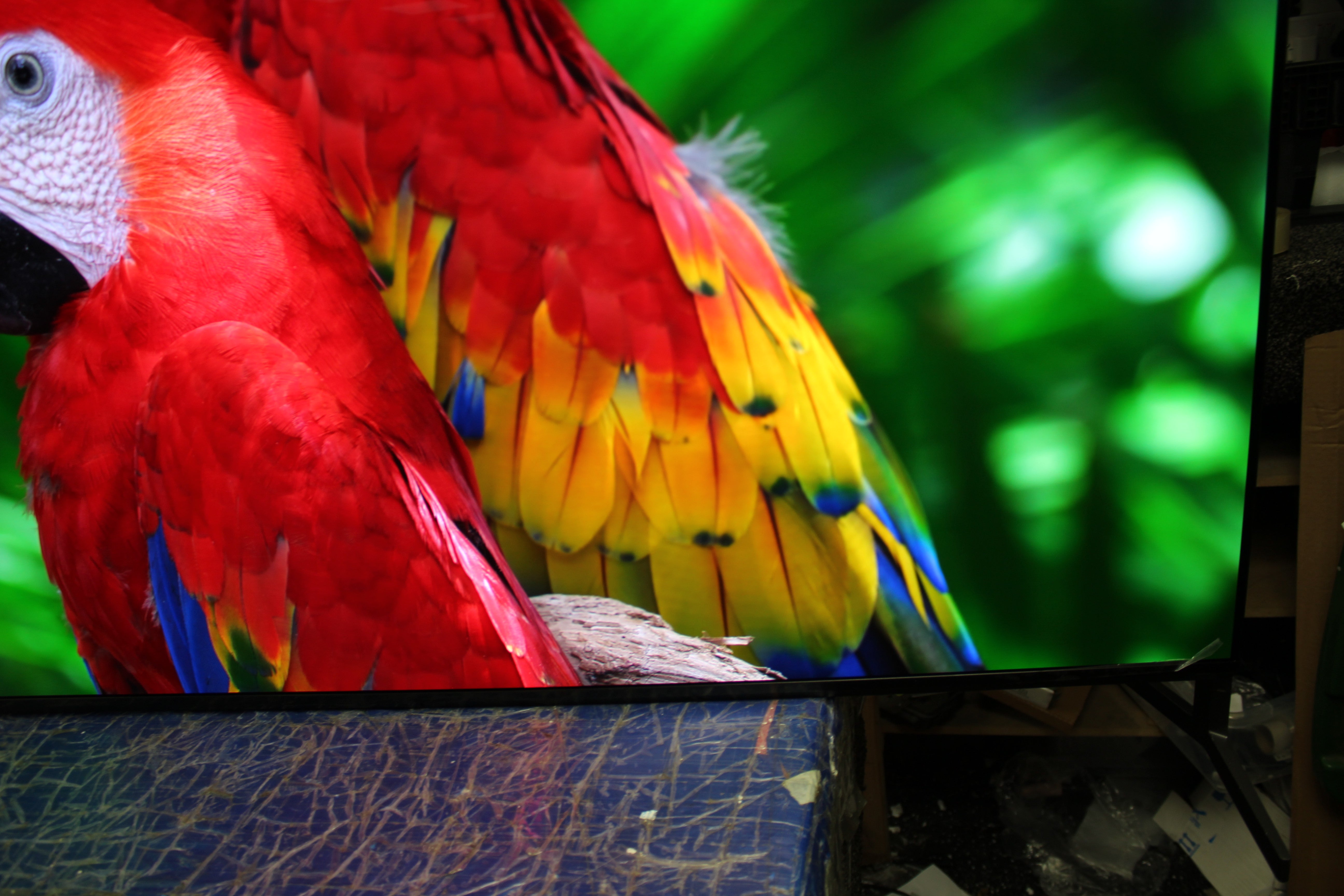 65" Sony Bravia XR65A95LU 4K HDR Google Smart OLED TV - Electronic World TV