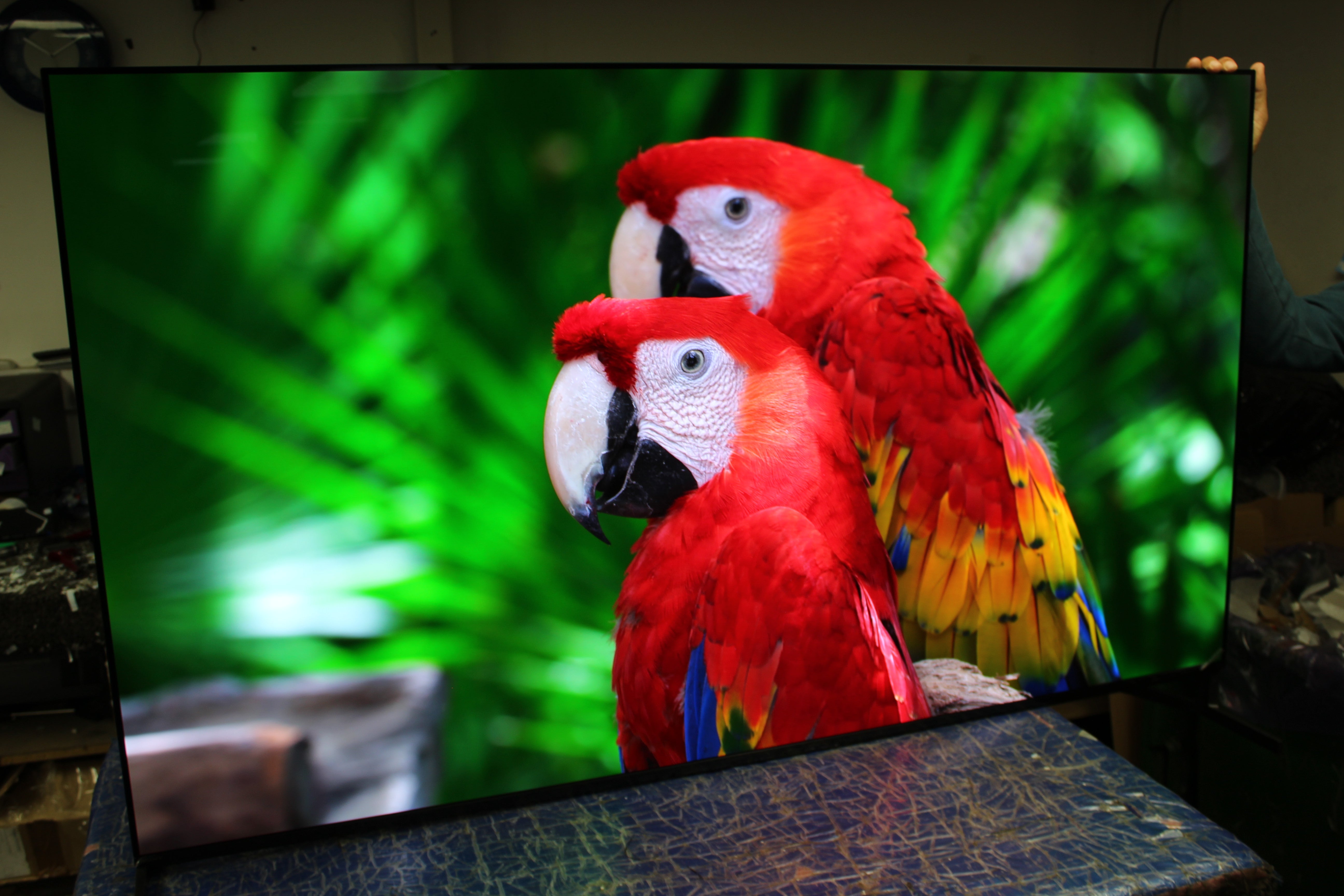 65" Sony Bravia XR65A95LU 4K HDR Google Smart OLED TV - Electronic World TV