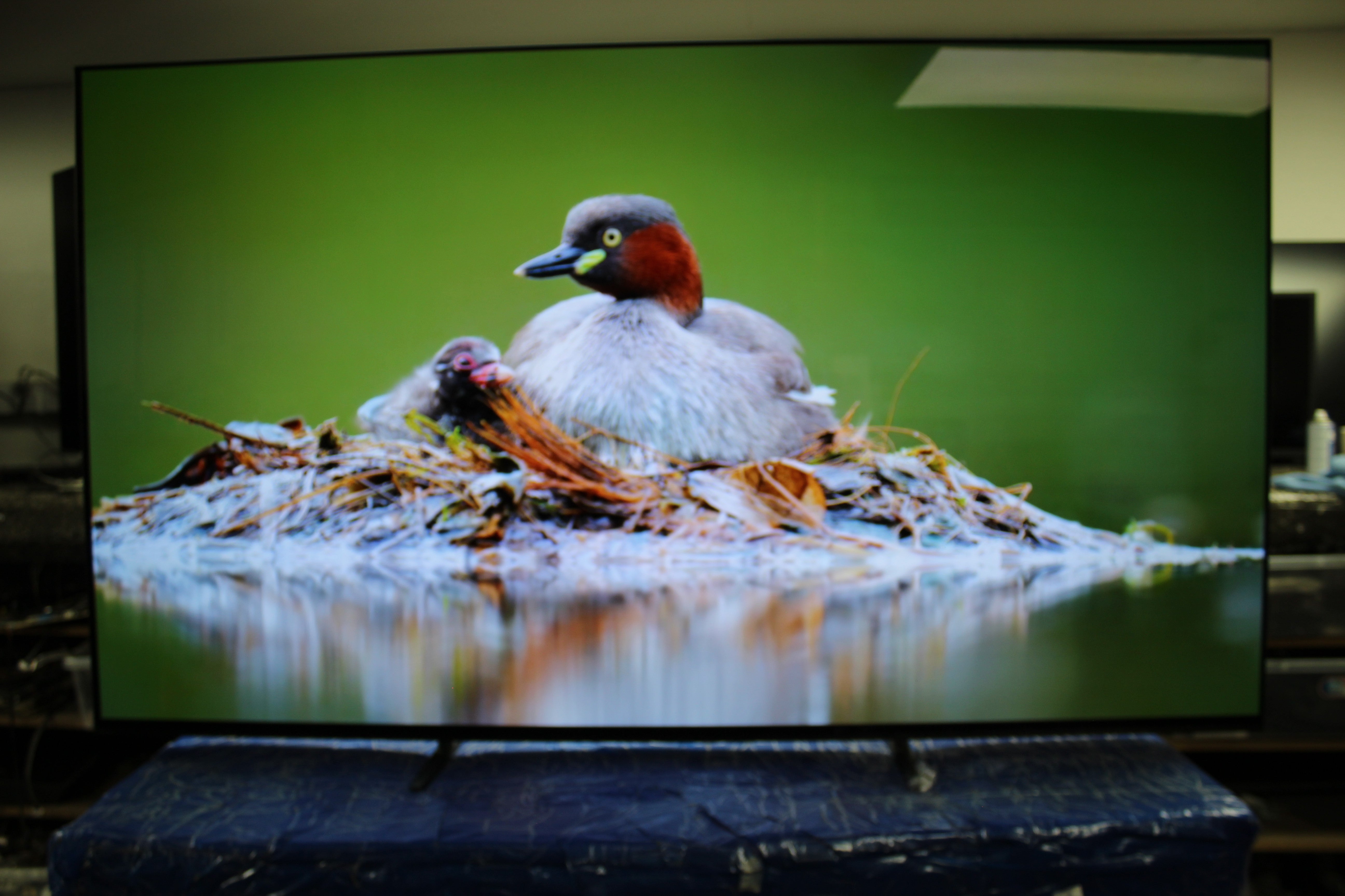 65" Sony Bravia K65XR80PU 4K HDR Google OLED TV