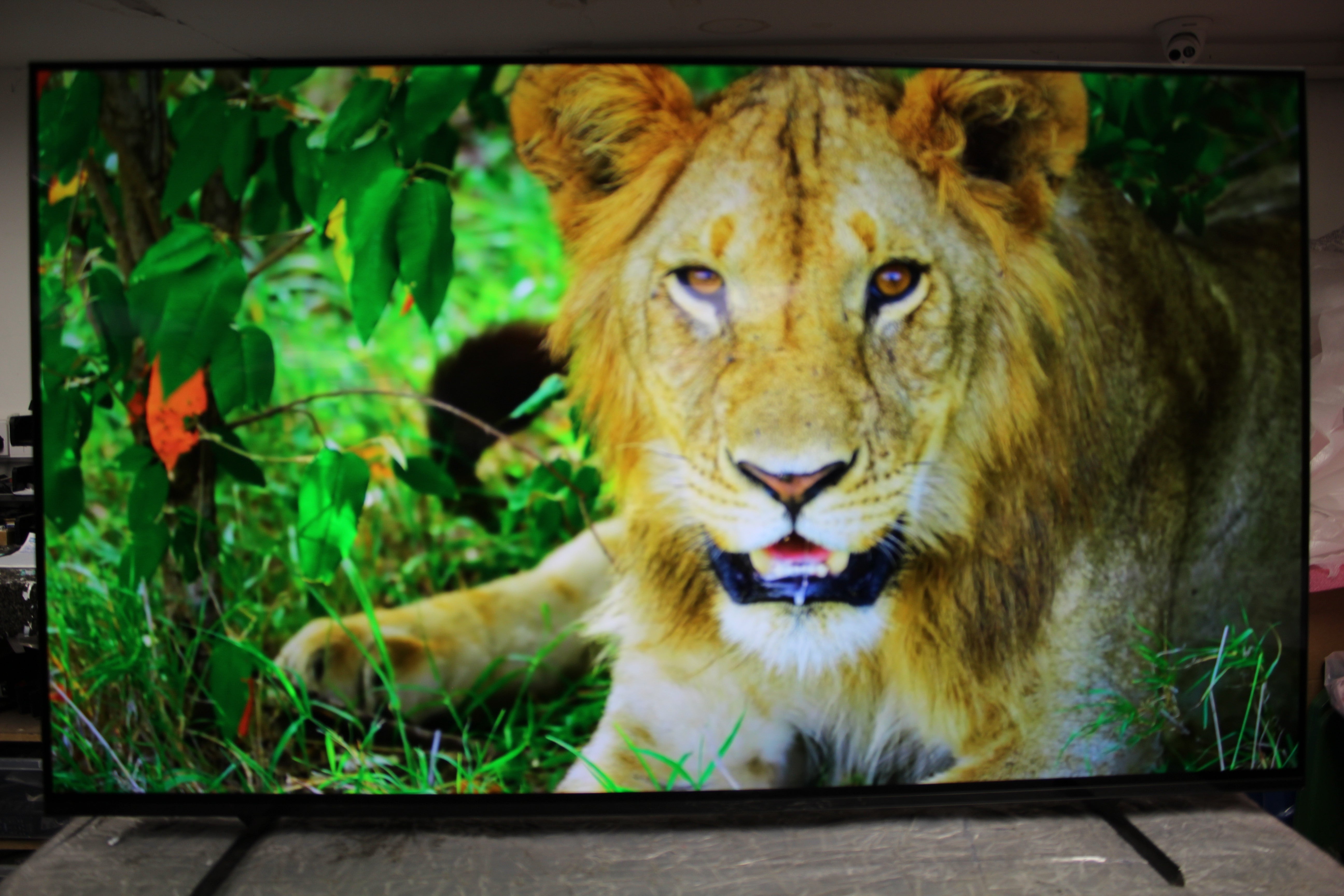 55" Sony Bravia XR55A84LU 4K HDR Google Smart OLED TV