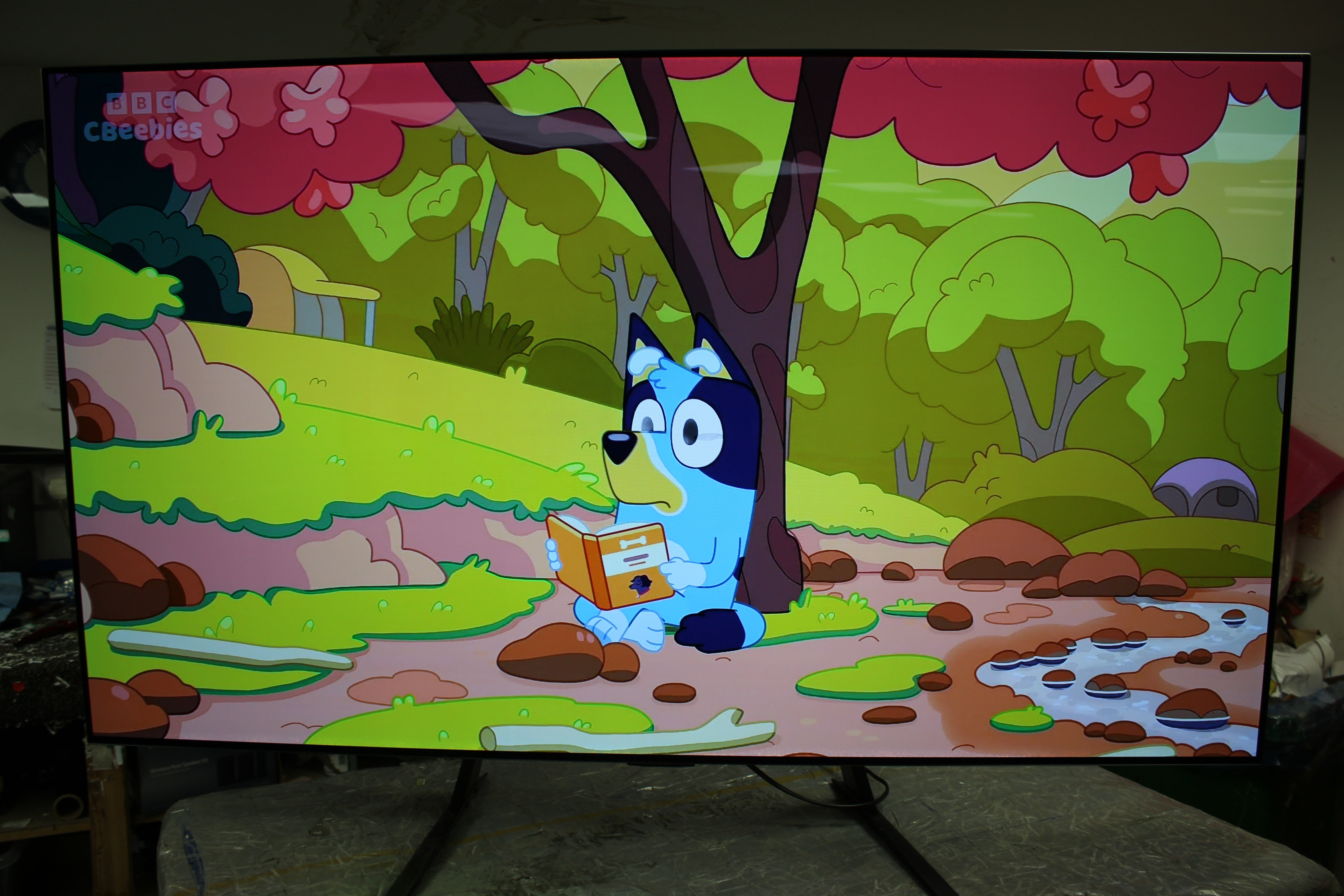 65" LG OLED65G16LA 4K HDR Smart OLED TV