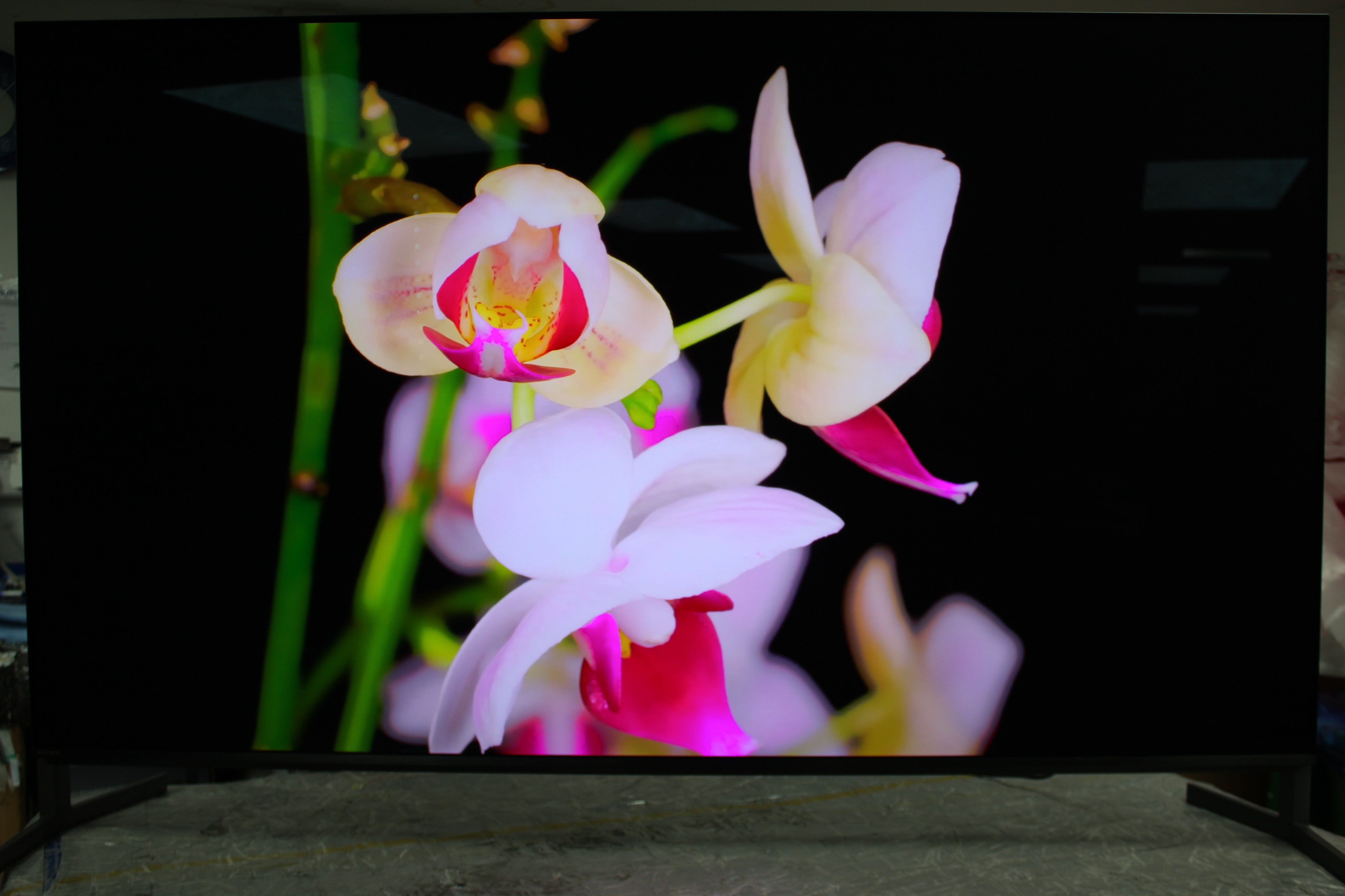 55" Sony Bravia K55XR8M2 4K HDR Google AI OLED TV