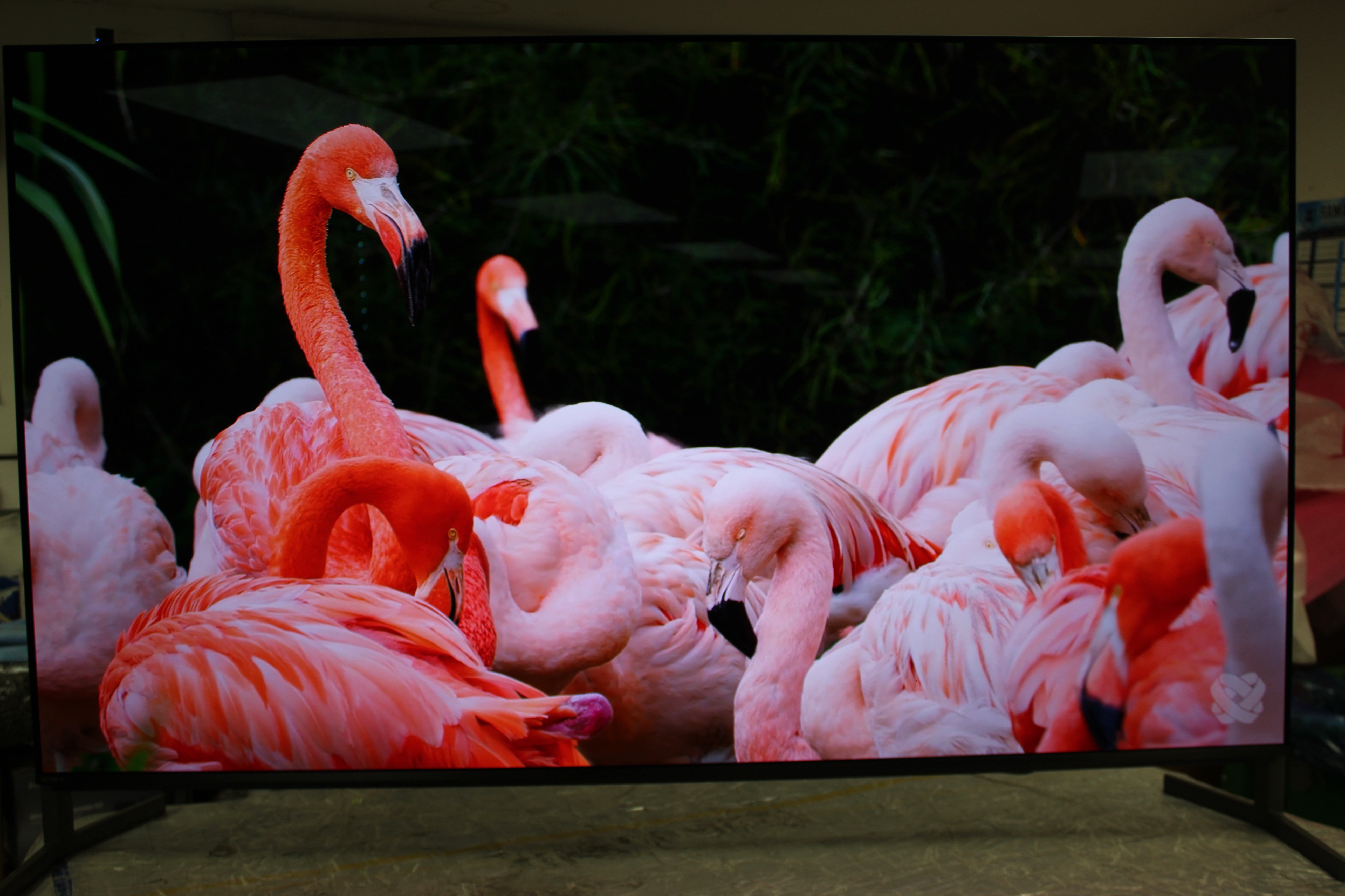 55" Sony Bravia K55XR8M2 4K HDR Google AI OLED TV