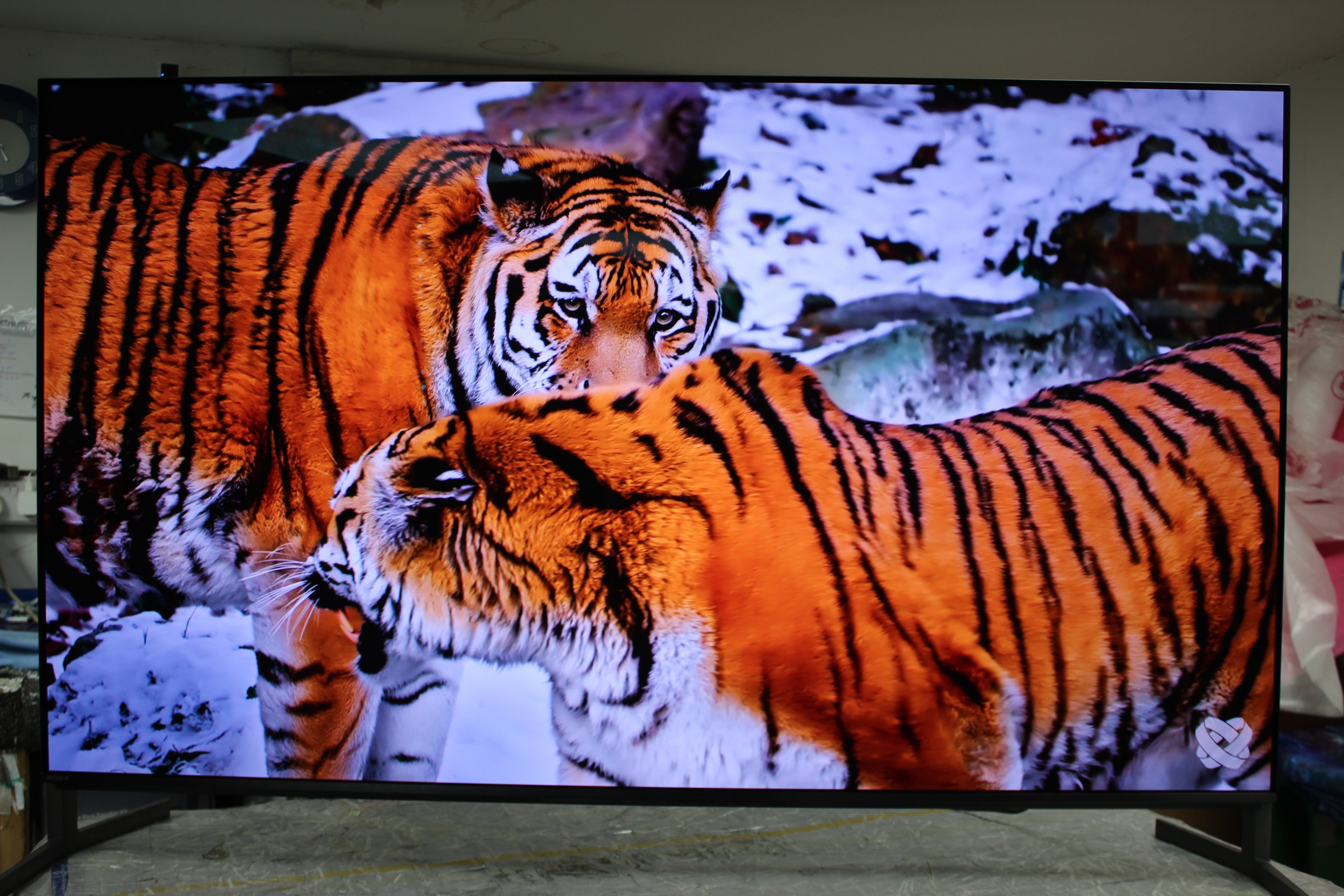 55" Sony Bravia K55XR8M2 4K HDR Google AI OLED TV
