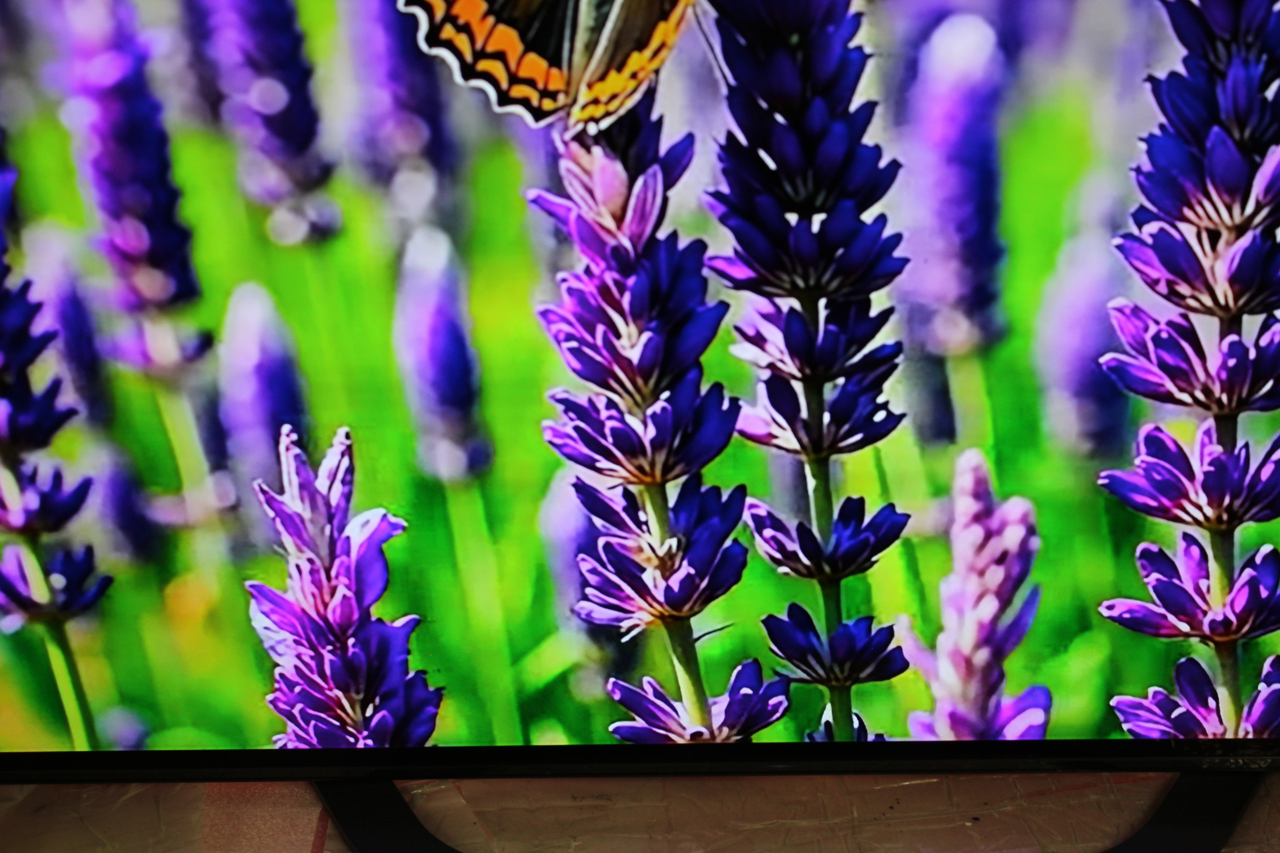 65" Sony KD65AG8BU 4K HDR Android Smart OLED TV