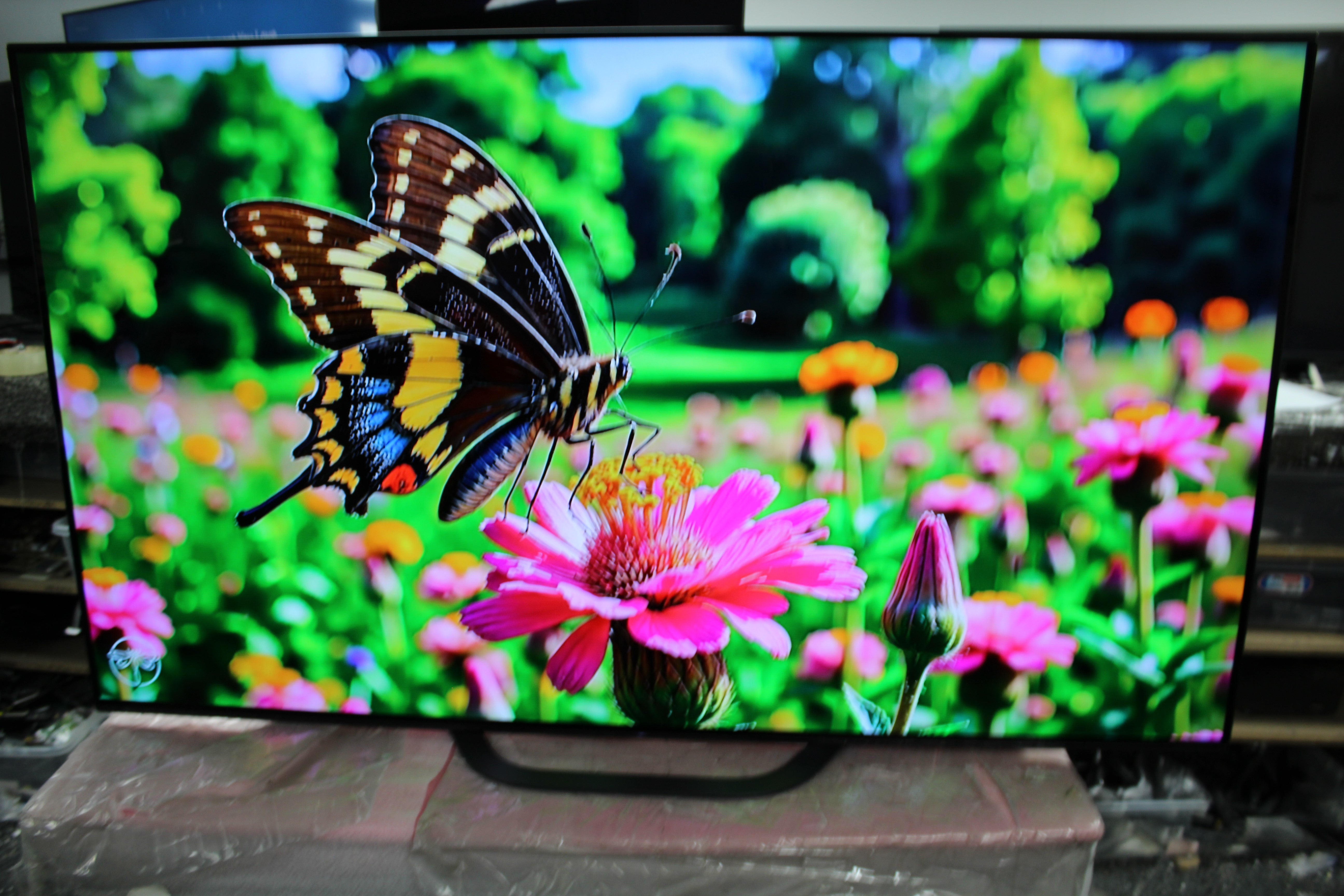 65" Sony KD65AG8BU 4K HDR Android Smart OLED TV