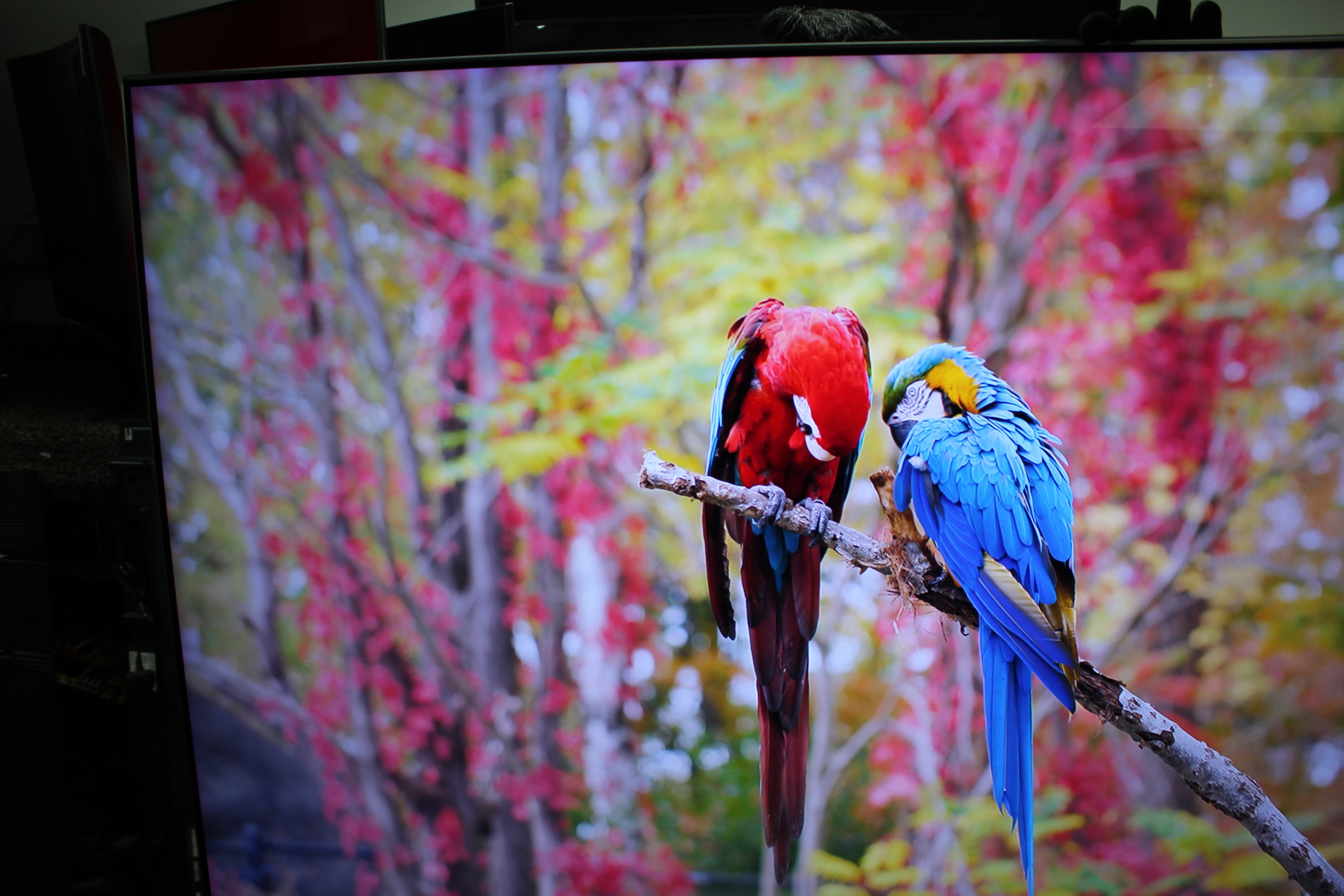 65" Samsung QE65Q7FNA Premium Certified 4K UHD HDR QLED TV - Electronic World TV